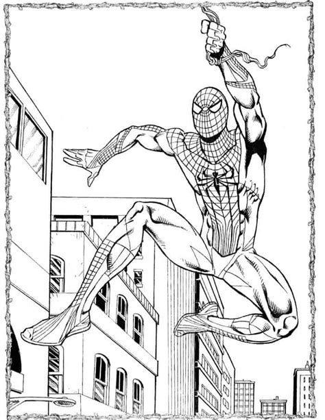 spiderman coloring pages  adults spiderman coloring spiderman