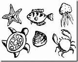Sea Life Color sketch template