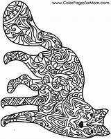 Animals Coloring Pages Animal Advanced Adult sketch template