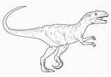 Allosaurus Uteer Dinosaurios Unicornio sketch template