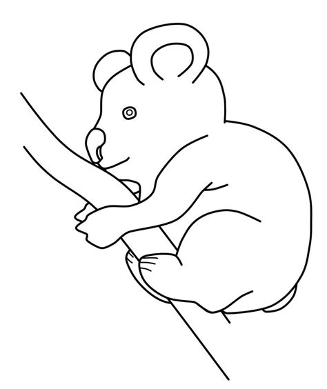 koala coloring page animal place