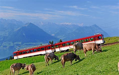 trains zurich airport  zermatt train  switzerland happyrail