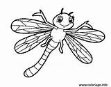 Libellule Libellula Insecte Dragonfly Libelula Souriant Coloring Libélula Anak Mewarnai Buku Acolore Dewasa Pngegg sketch template