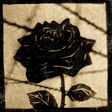 black rose snap judgment presents spooked wnyc studios
