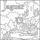 Jaguar Coloring Pages Animal Getcolorings Cool sketch template