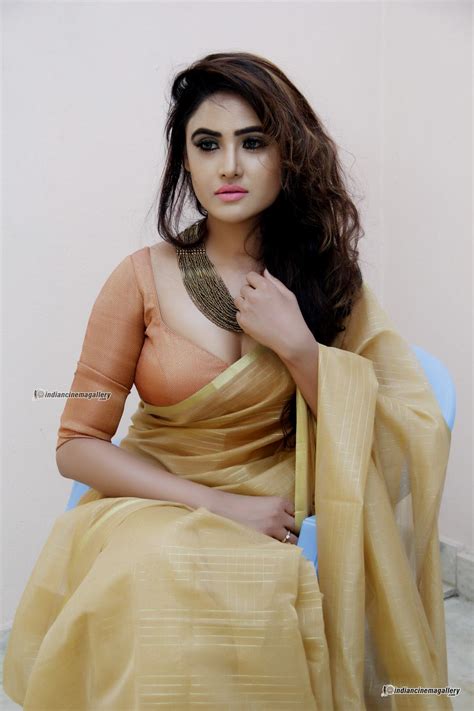 sony charishta in saree photo shoot 132555