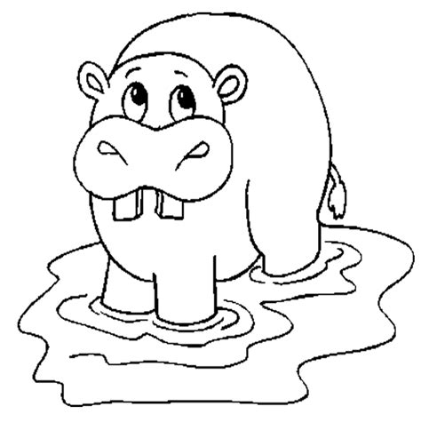 cute hippo coloring pages  kids