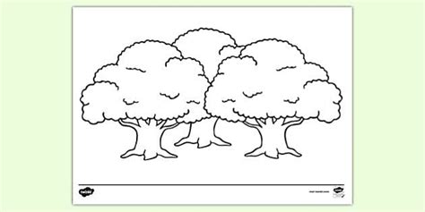 trees colouring page  kids ks resources twinkl