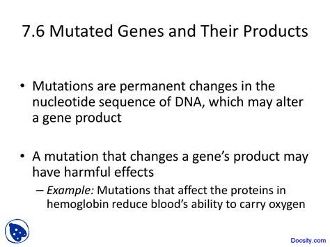 mutated genes basic biology lecture  docsity