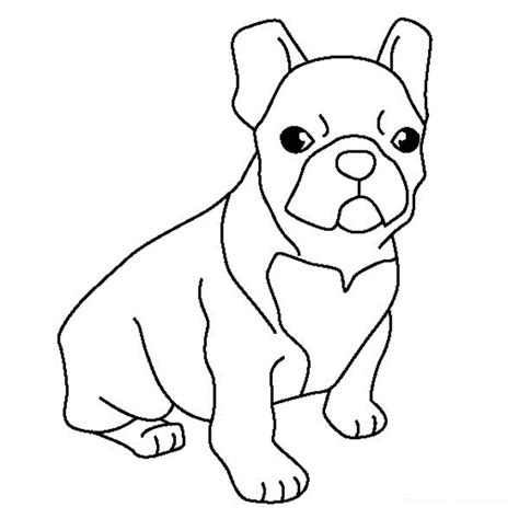 printable coloring page draw  black lab puppy step  animals