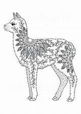 Llama Alpaca Alpaka Keiti sketch template
