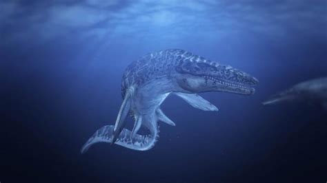 Bbc Earth Scary Sea Monsters Just Got Even Scarier
