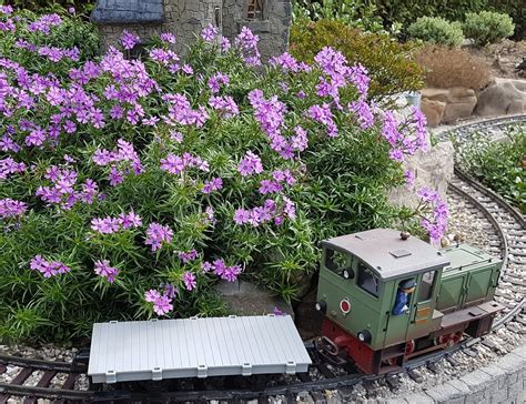 a small garden railroad plants on the layout