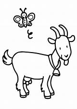 Goat Coloring Bee Pages Animals Parentune Worksheets Printable sketch template