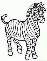 Cebra Zebra Selva Cebras Crin Coloreamania Salvajes Siluetas sketch template