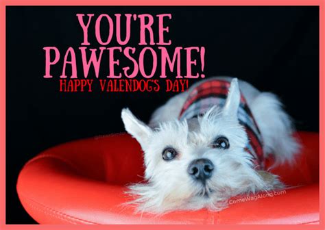 printable valentines day cards  dog lovers  wag