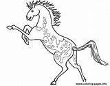 Horse Appaloosa Coloring Pages Printable Horses Print Colouring Books Book Getcolorings Info sketch template