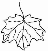 Colorat Frunze Bladeren Daun Plantillas Seca Imagini Mewarnai Feuilles Coloriage Animasi Parra Desene Colorare Planse Bergerak Coloriages Secas Blatter Malvorlagen sketch template