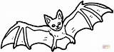 Nocturnal Animals Coloring Pages Getcolorings Bat sketch template