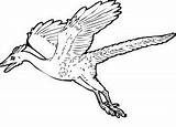 Microraptor Dinosaurs Gliding sketch template