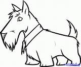 Scottie Terrier Dragoart Cliparts Clipartmag sketch template
