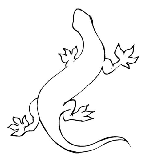 top   printable lizard coloring pages