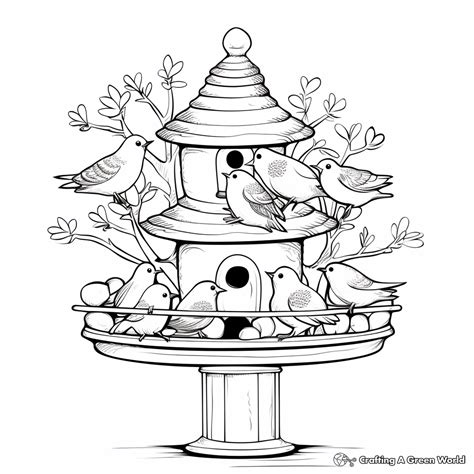 bird feeder coloring pages  printable