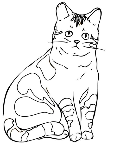 cool cat color sheets colouring pages