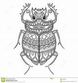Beetle Scarab Visit Coloring Stock Pages Vector sketch template