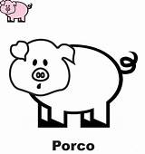 Porco Colorir sketch template