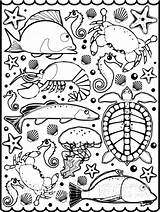 Coloring Mollusk Pages Color Animal sketch template