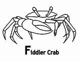 Crab Fiddler Coloring Choose Board sketch template