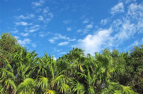 sian kaan biosphere reserve mexico  touch  sound