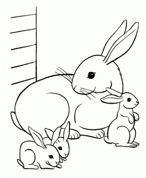printable baby animal coloring pages everfreecoloringcom