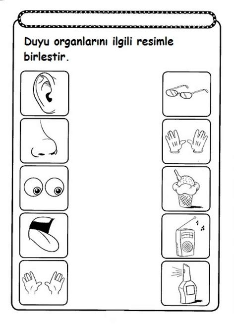 kindergarten  senses worksheet cutout