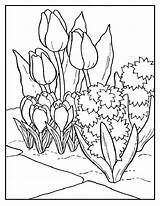 Bloemen Kleurplaten sketch template