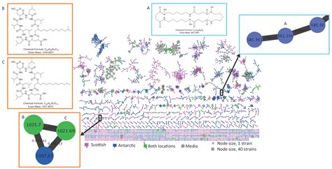 metabolites  full text  molecular networking  microbial
