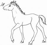 Cavalli Pferd Ausmalbilder Caballos Hevoset Varityskuvia Colorare sketch template