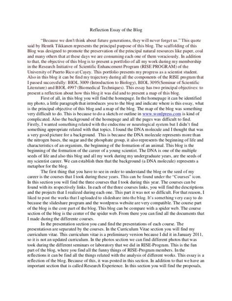 examples   reflection papers   essay examples