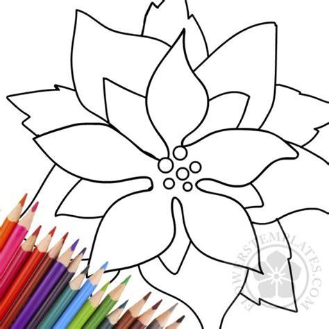 cartoon christmas flower coloring page flowers templates