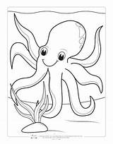 Coloring Ocean Pages Animals Kids Octopus Animal Itsybitsyfun sketch template