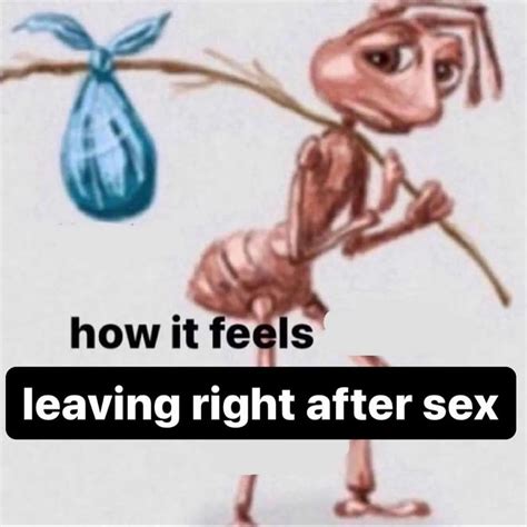 How It Feels Leaving Right After Sex Ant Meme Sad Ant With Bindle