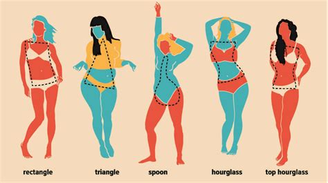 Is An Hourglass Figure A Sign Of Fertility Researchers