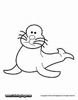 Seal Coloring Pages Coloringtop sketch template