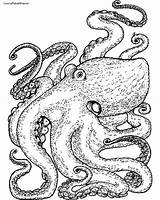 Octopus Coloring Pages Doctor Dr Getcolorings sketch template