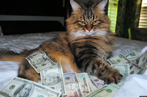 cash cats photo  art show flaunts hip trifecta  money guns lolz  huffpost