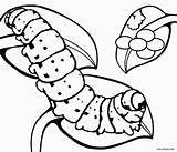 Caterpillar Raupe Ausmalbilder Nimmersatt Cool2bkids Ausdrucken Ausmalbild Clipartmag Sensational sketch template