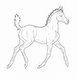 Foal Lineart Foals Laying sketch template