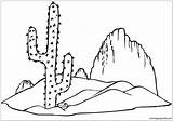 Saguaro Cactus Pages Coloring Seasons Nature sketch template