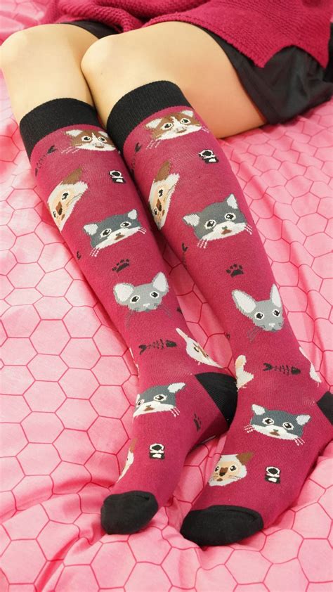 Women S Cute Cats Knee High Socks Womens Knee High Socks Outfit With